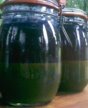 The Organic Vat: Indigo dye concentrate made with indigo, quicklime and sugar ready to go.
